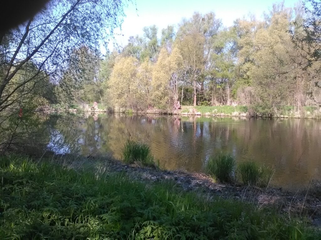 Blick über den Havelkanal