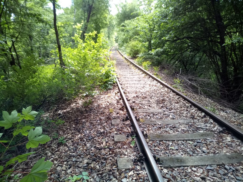Ehemalige Bahnverbindung zwischen Werneuchen und Wriezen