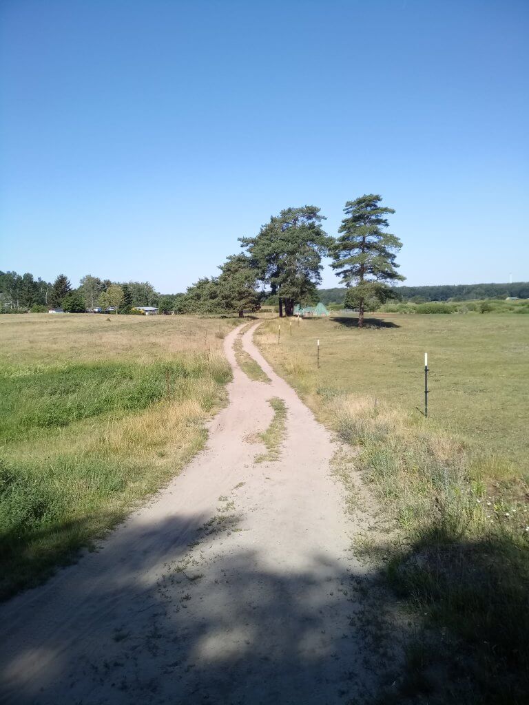 Blick über einen Feldweg bei Hennickendorf