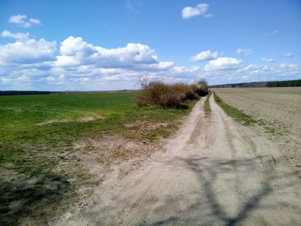Weg über die Felder in Richtung Schlunkendorf bei der Überquerung der L73