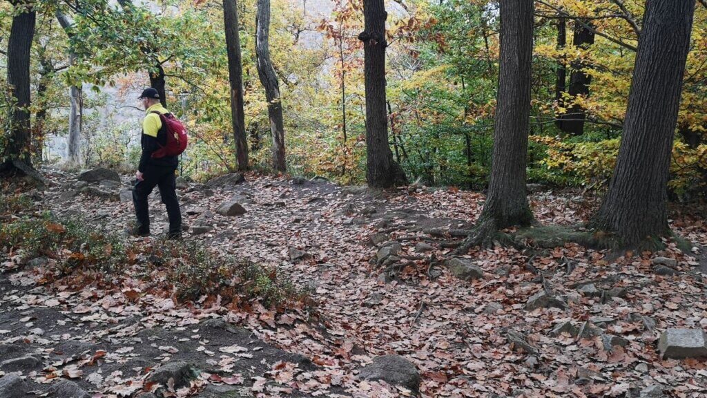 Letzte Schritte zur La Viershöhe